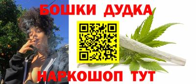 гашик Лесосибирск