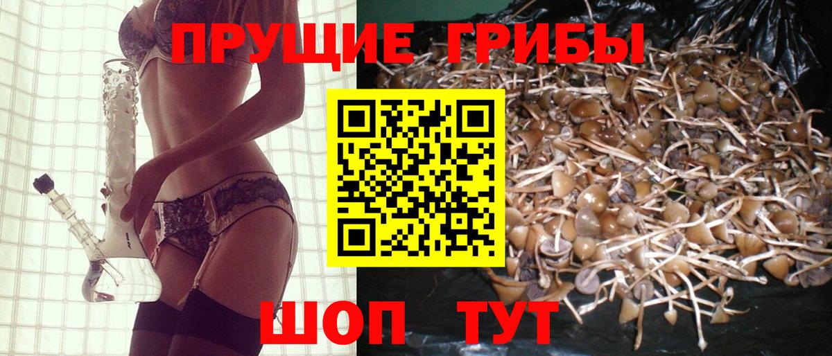 Галлюциногенные грибы прущие грибы Губкин