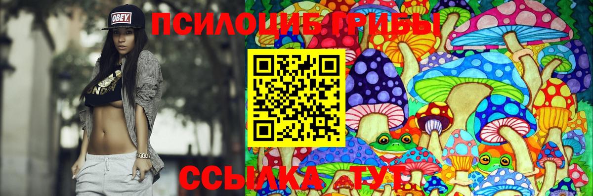 Псилоцибиновые грибы GOLDEN TEACHER  Вход с VPN  Губкин  Галлюциногенные грибы ЛСД 